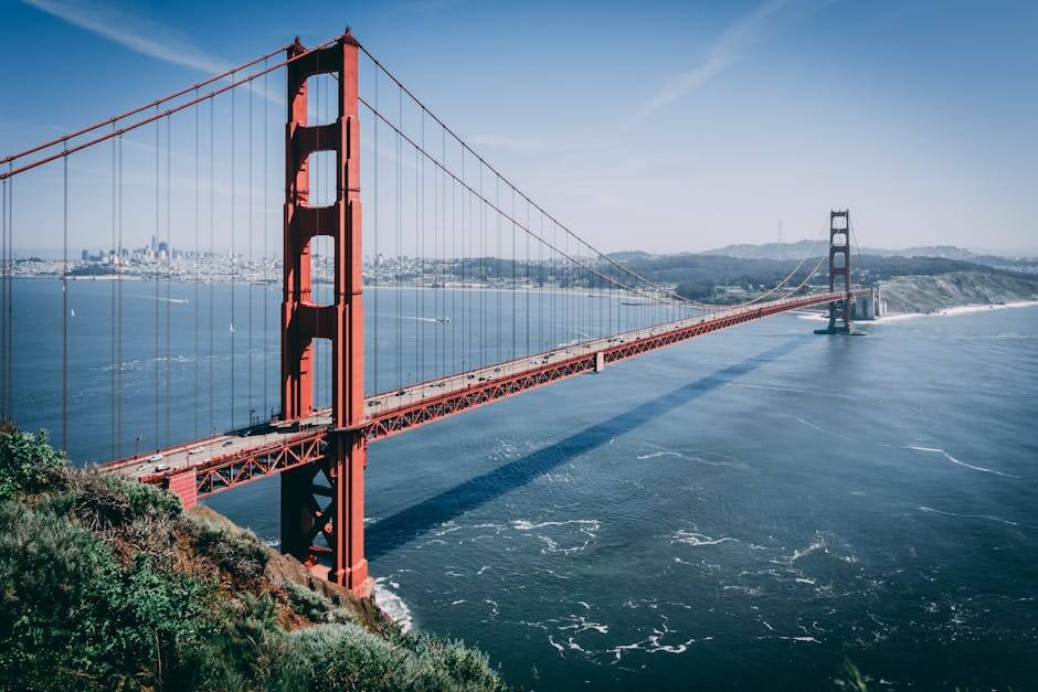 Navigating SEO Marketing in San Francisco: Tips & Strategies