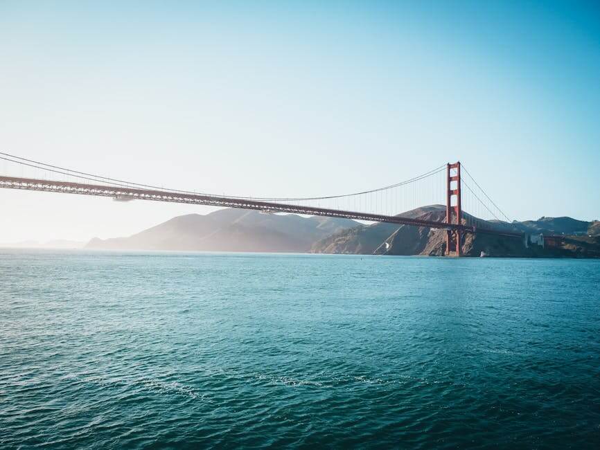 How to Navigate SEO in the Bay Area: Tips for Success