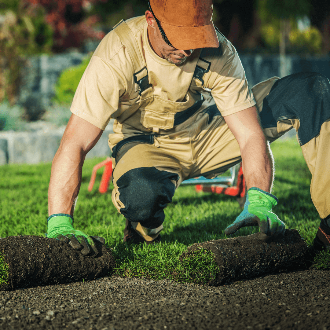 How to Succeed at Lawn Care SEO, Even if You've Failed in the Past