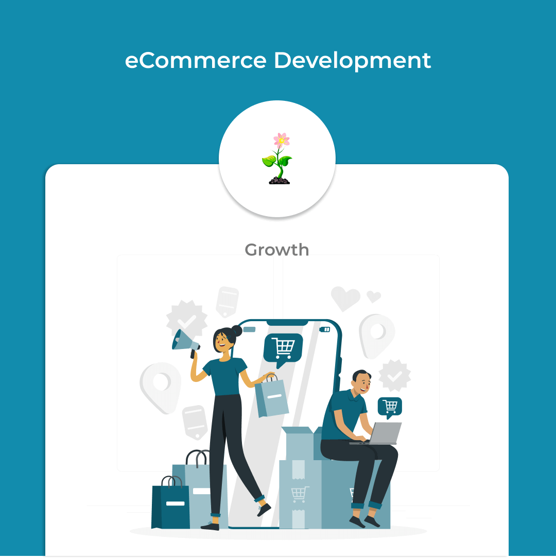 eCommerce Development - Growth
