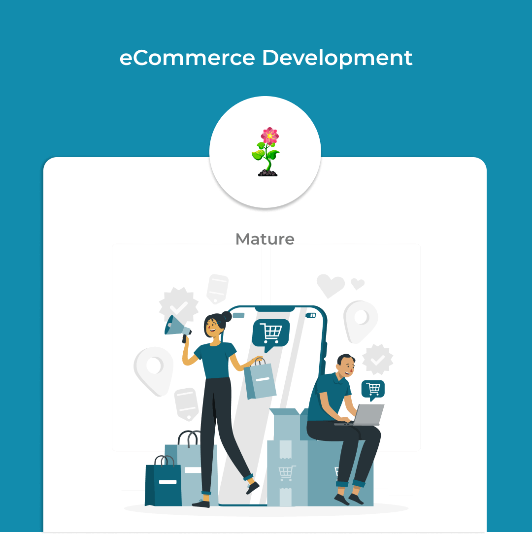eCommerce Development - Mature