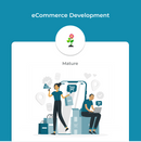 Our eCommerce development service is tailored towards mature companies looking to establish a strong online presence.