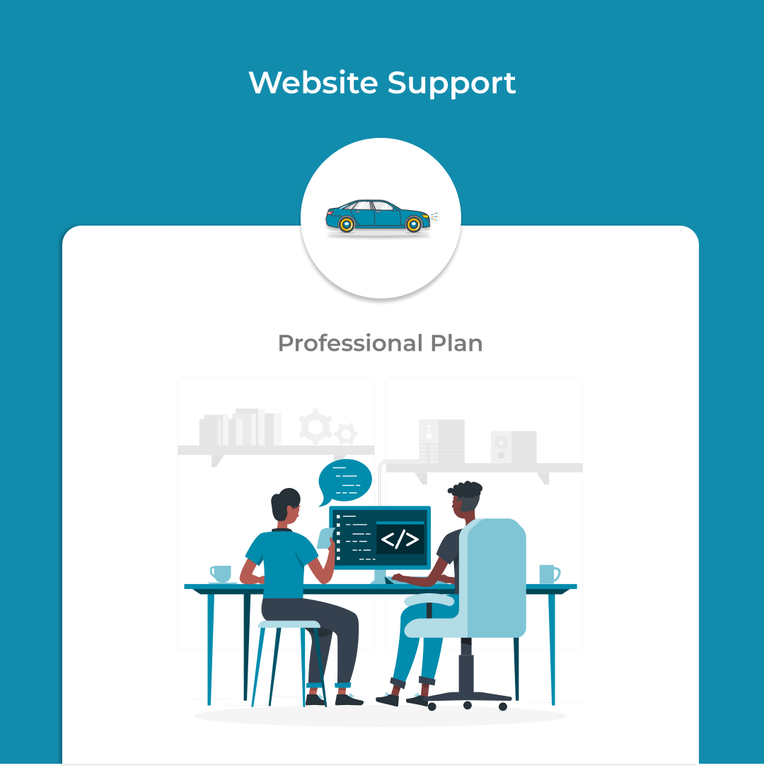 Professional Support is the highest level of support offered.