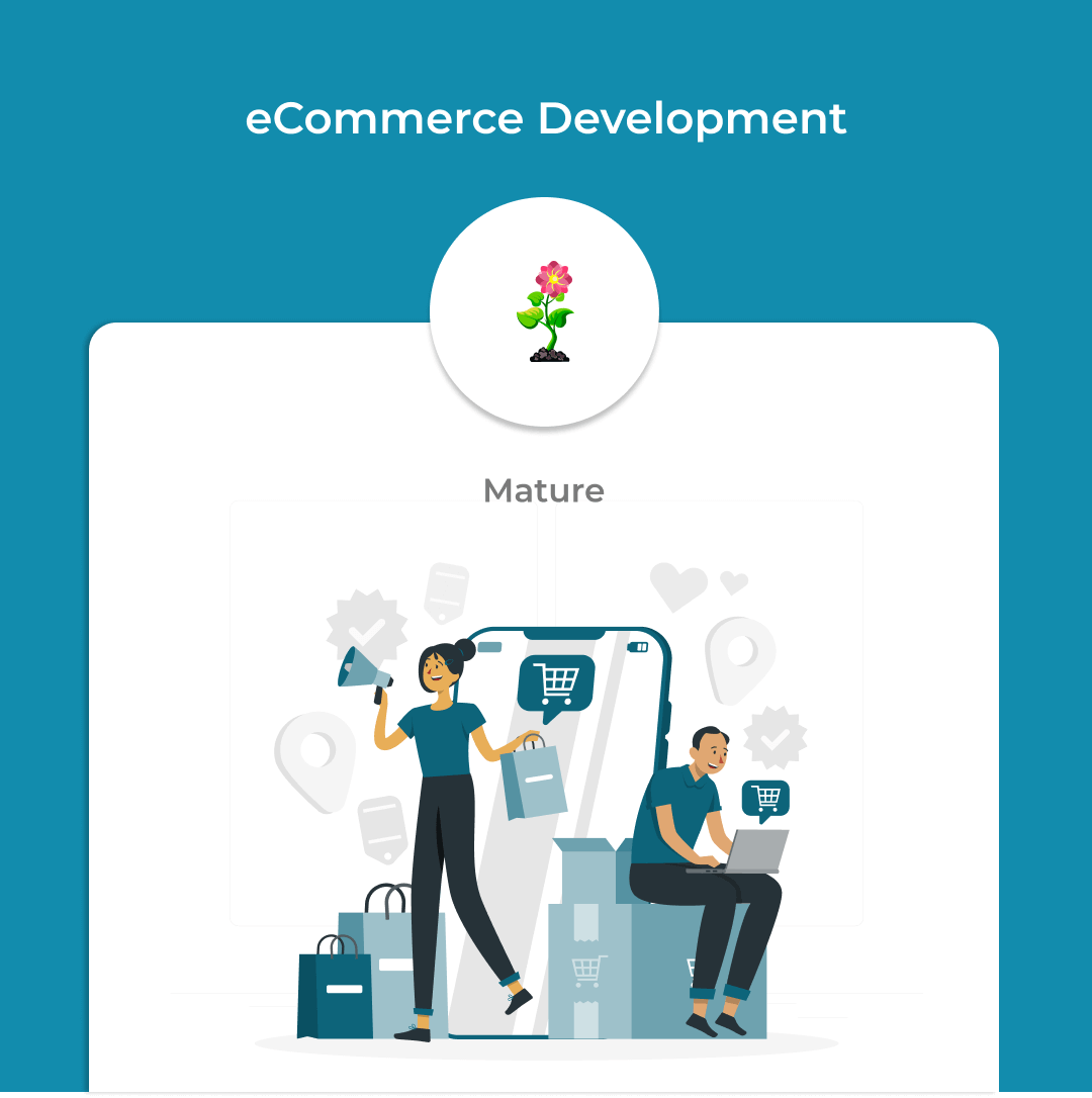 From Clicks to Conversions: The Ultimate Guide to E-commerce Marketing and Development